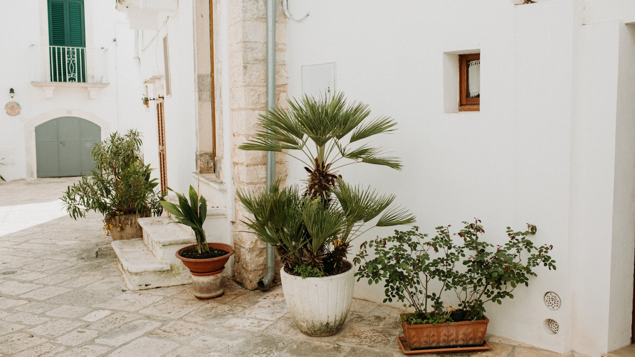 Ibiza stijl in je tuin: zo creëer je mediterrane sfeer thuis
