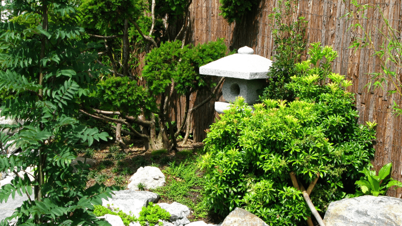 Japanse tuin ideeÃ«n  - tips voor een japanse tuin