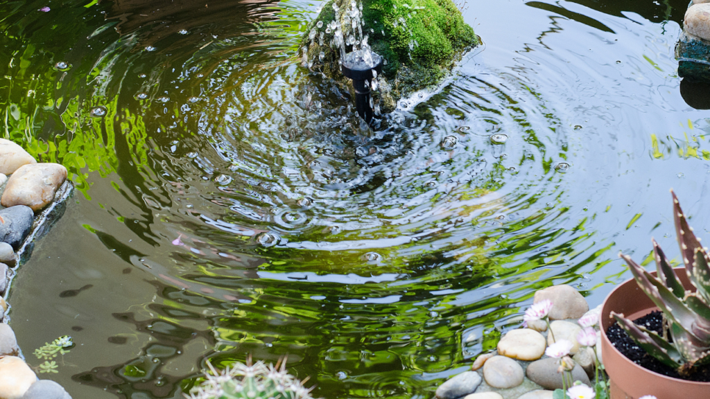 Kleine vijver met stromend water en ronde stenen rand in groene tuin