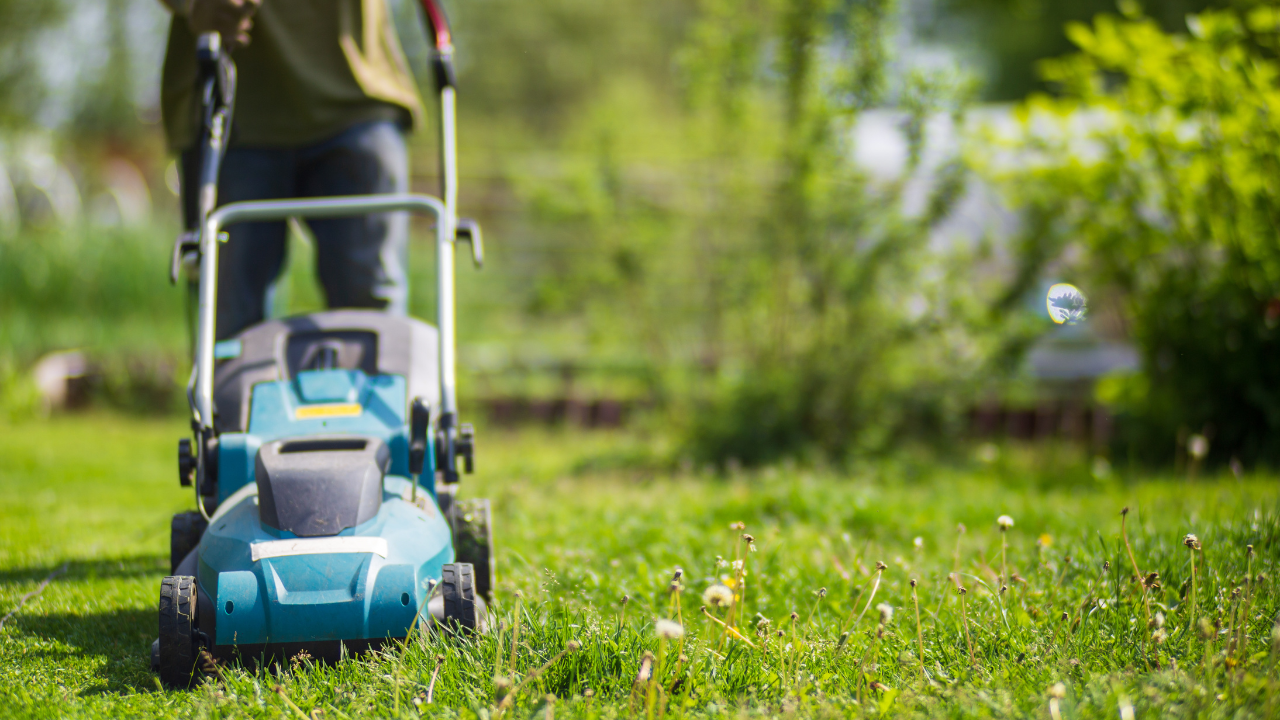 Tuin lenteklaar maken: zo doe je dat