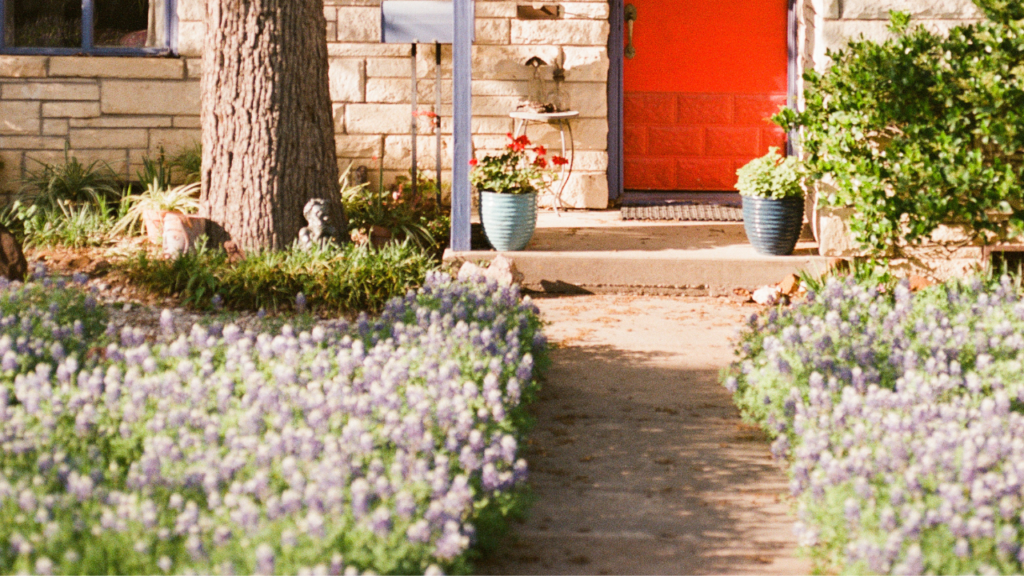 Pad met bloeiende lavendel leidt naar feloranje voordeur met blauwe bloempotten.