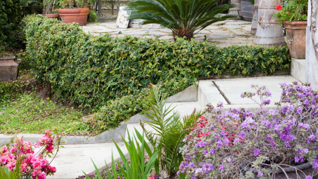 Tuintrap omringd door bloeiende struiken en potplanten bij terras.