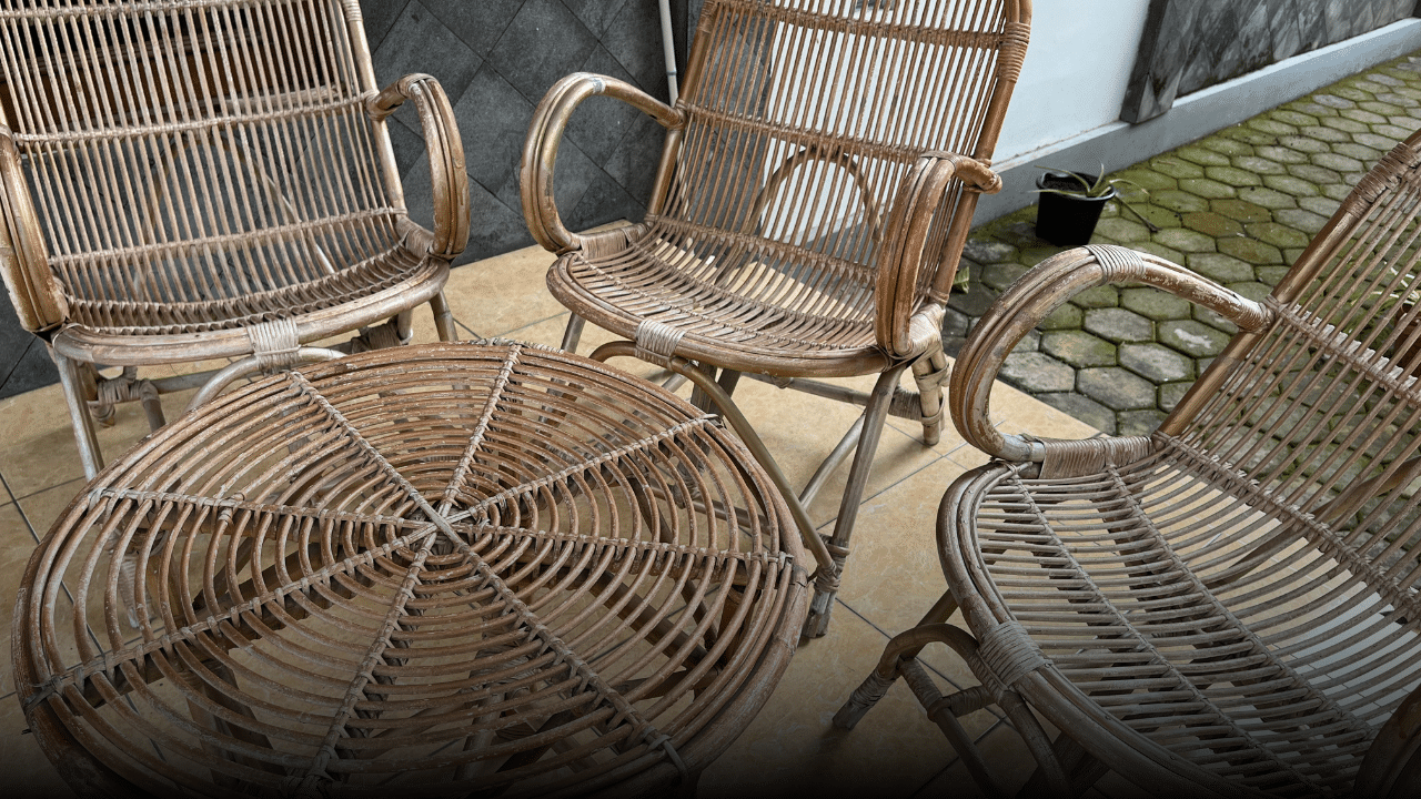 Wat is Rotan? Volledige uitleg!