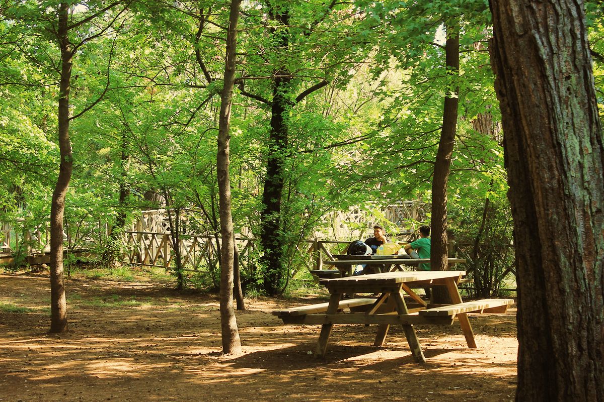 Picknicktafel kopen: waar moet je op letten?