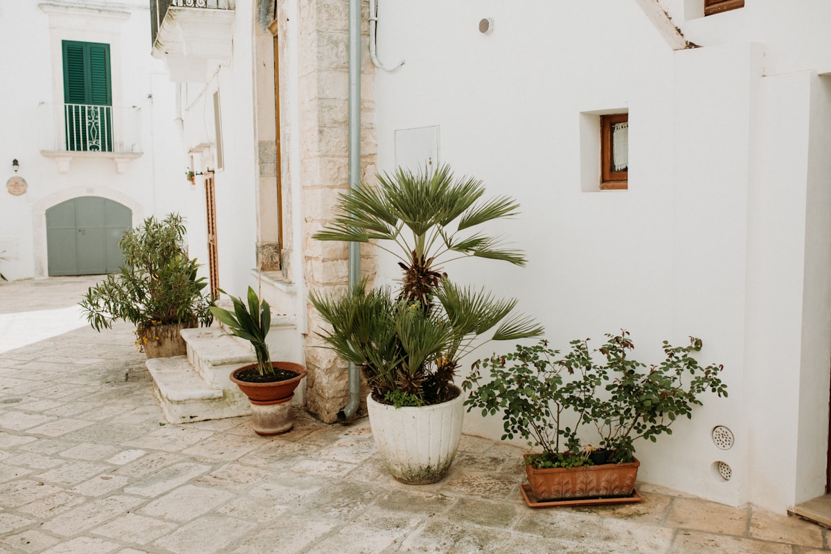 Ibiza tuin inrichten — tips en inspiratie