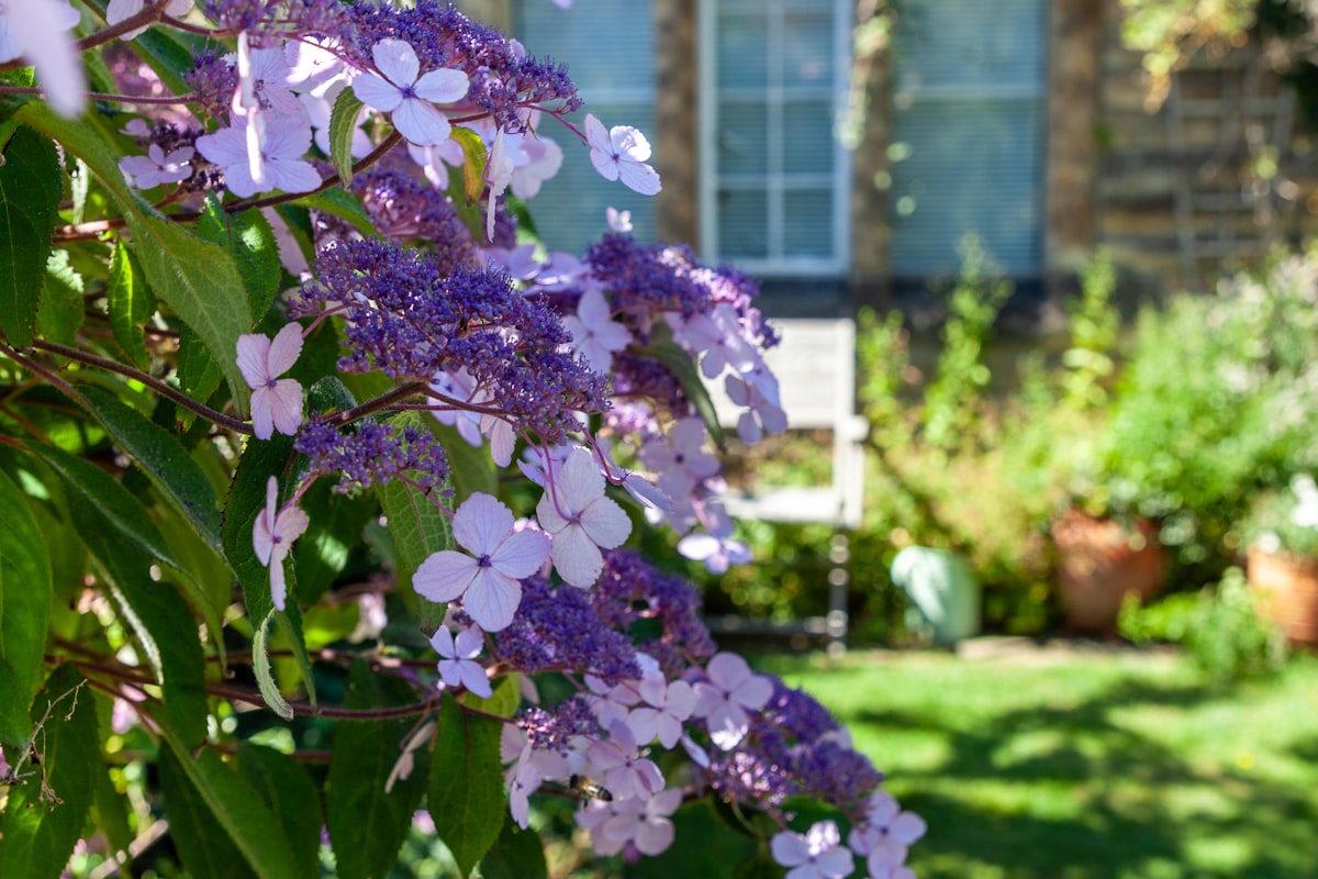 Sfeervol Landelijk tuin inrichten — tips en inspiratie